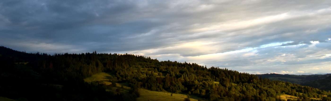 Kupovina iz Austrije