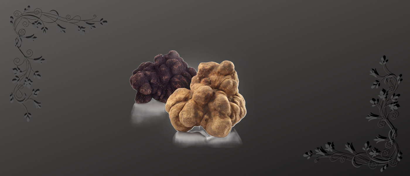 Tartufi - „hrana bogova“