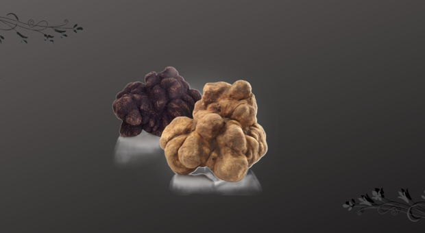 Tartufi - „hrana bogova“