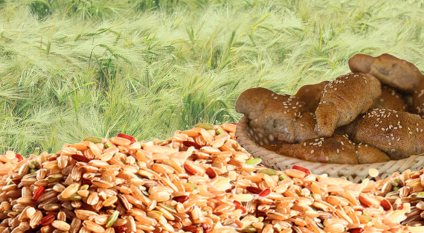 Zašto brašno baš od integralnih žitarica?